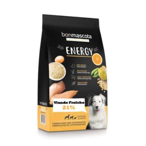 Bonmascota Energy