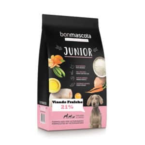 Bonmascota Junior